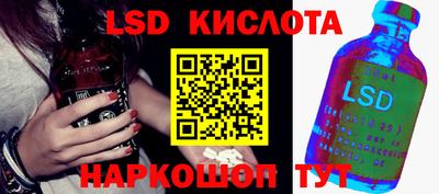 эйфоретик Малгобек