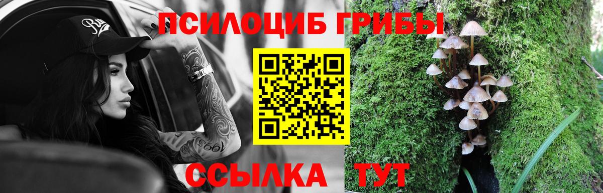 Россия  Галлюциногенные грибы мицелий  Вход с VPN 