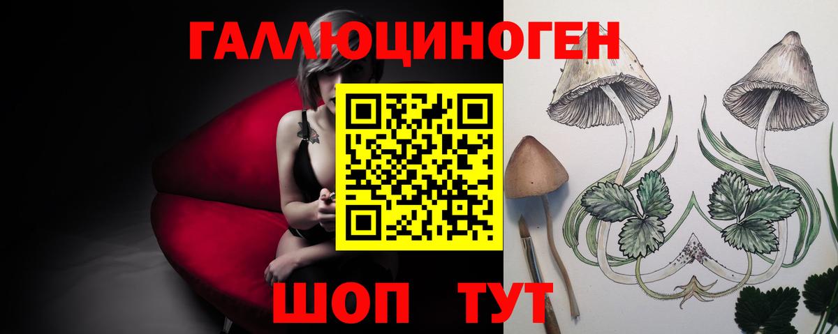 Псилоцибиновые грибы мухоморы Россия